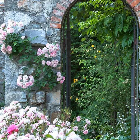 La Casa Del Sole - Tenuta Dei Conti 3* 만자노