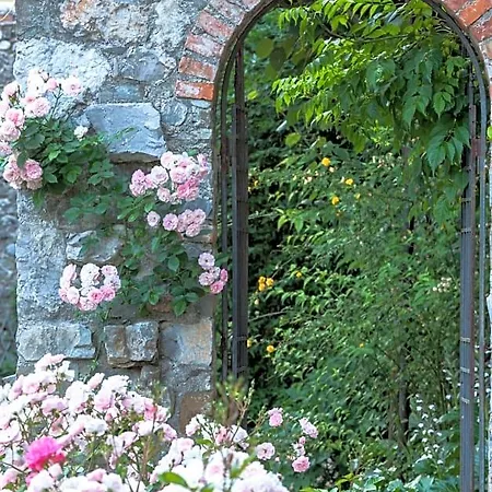 La Casa Del Sole - Tenuta Dei Conti Bed & Breakfast 3*
