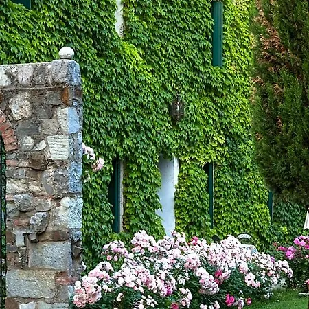 La Casa Del Sole - Tenuta Dei Conti Bed & Breakfast 3*